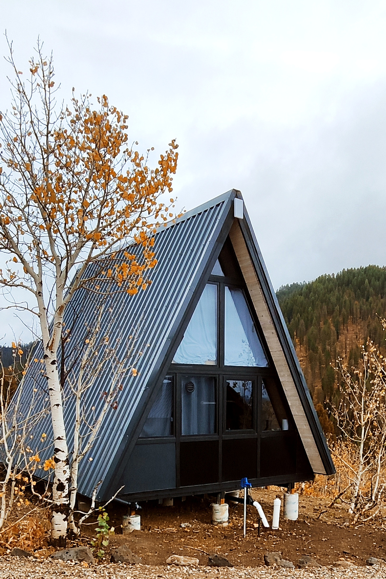 Completed Stella 53 A-frame cabin beside white-barked aspen trees in Island Park, Idaho.