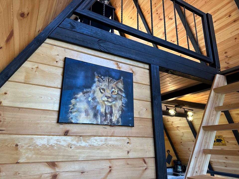 Stella 70 loft stairs and black structural frame inside the completed cabin. Earlier West Virginia configuration.